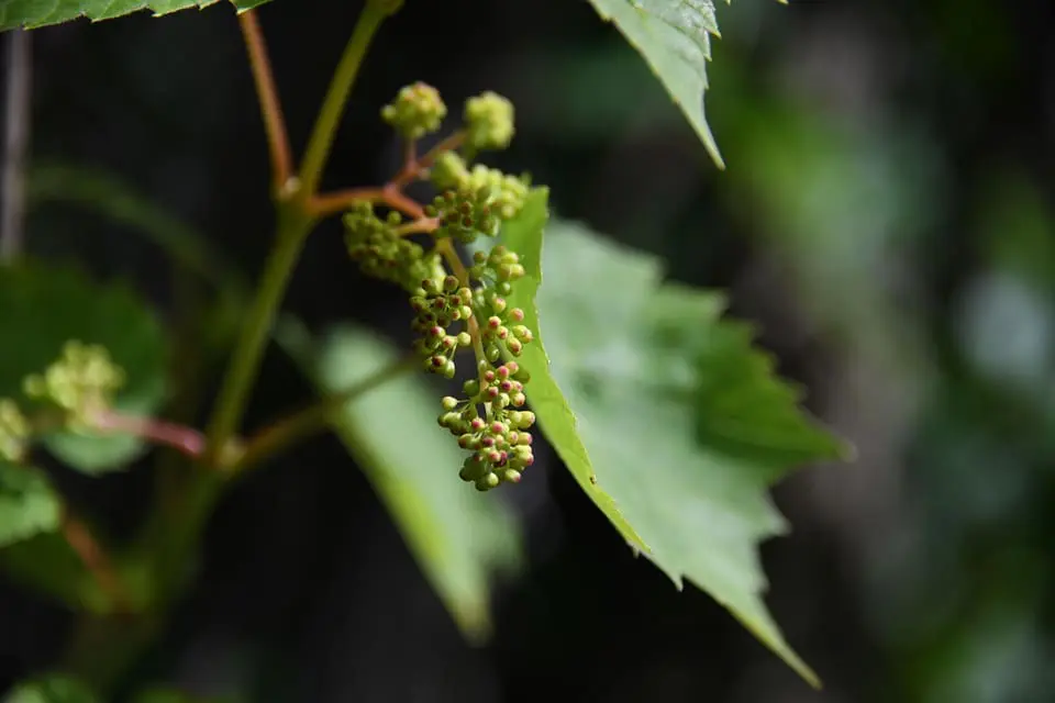 We are not powerless in the face of Gaza, the West Bank, Ukrainian atrocities, insists UNHCR chief