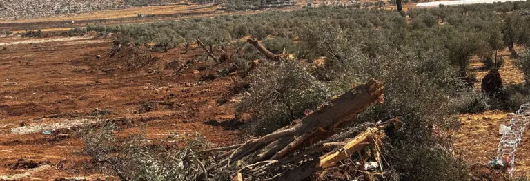 Faith and the Challenge of the Earth: Two Voices for a Spiritual Ecology