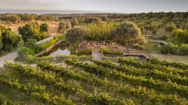 Ecotheology: A Call to a Conversion of Vision