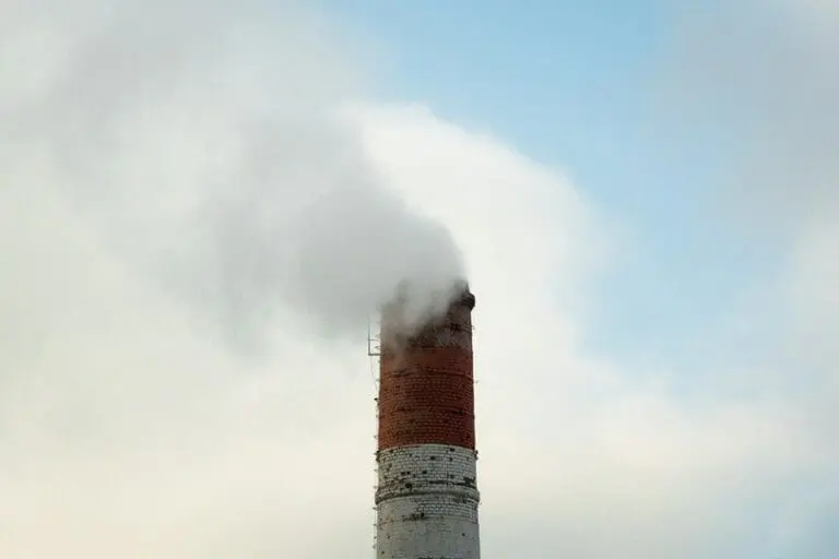 What are the impacts of PFAS polymers on our health and the environment? | Press releases