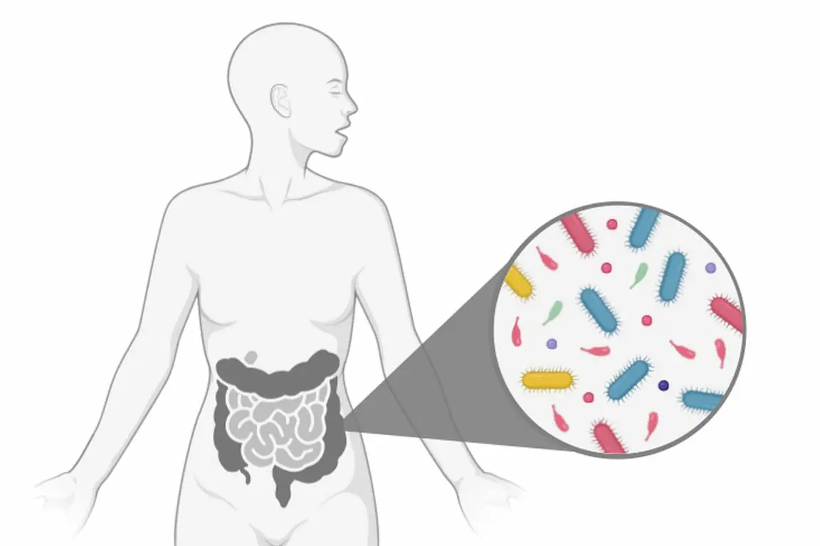 UCLA Scientists Uncover How Gut Bacteria Rapidly Adapt to Support Human Health