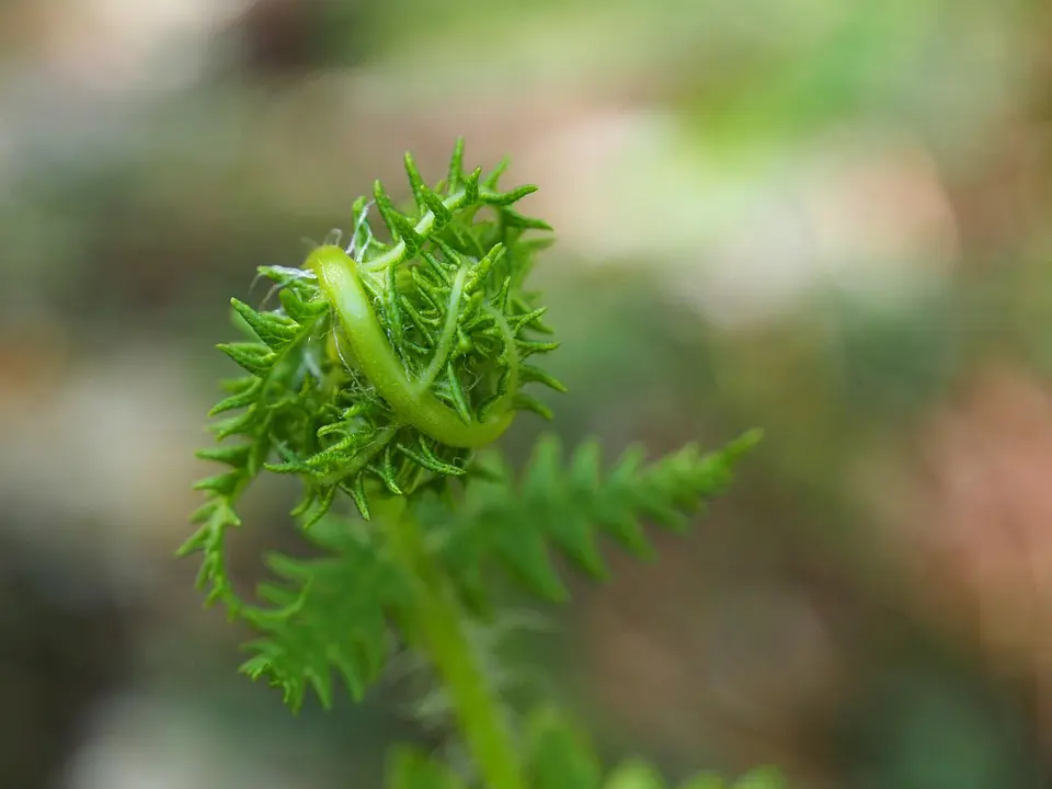 From promises to action: leaders push for faster climate progress at COP30