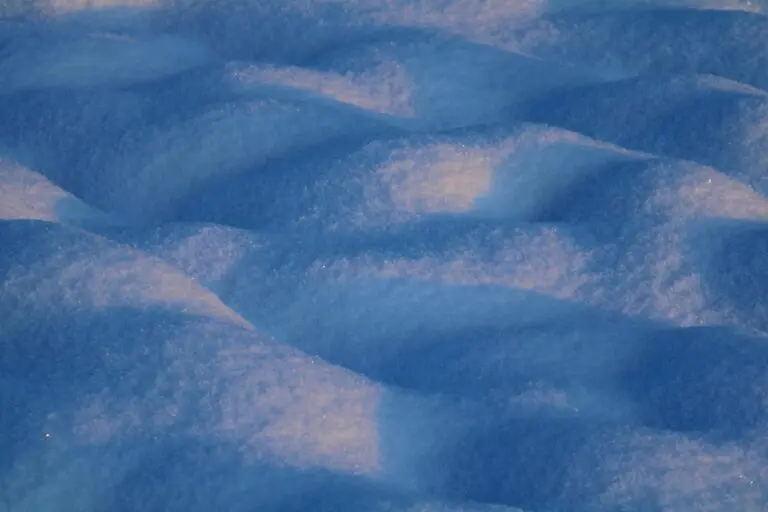 Protecting lives in a warming world: health at the center of COP30