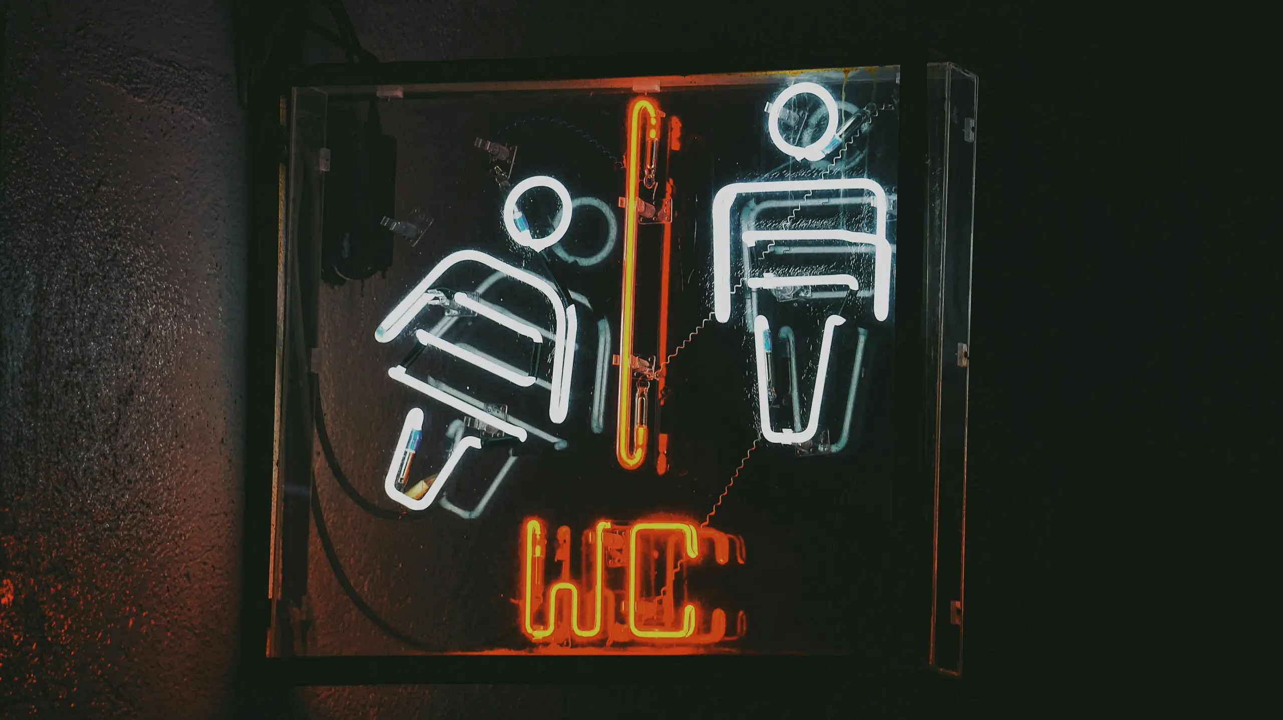 Solid gold toilet goes up for auction with starting price of  million