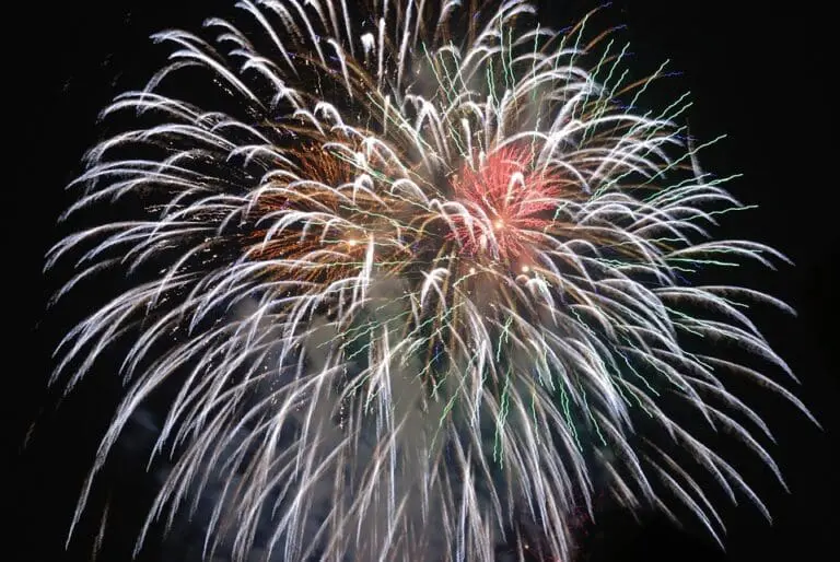 Can traditional medicine strengthen modern health care? An expert intervenes