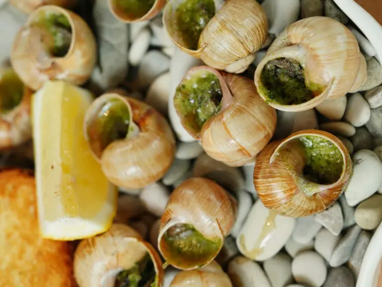 Thieves steal €90,000 worth of snails