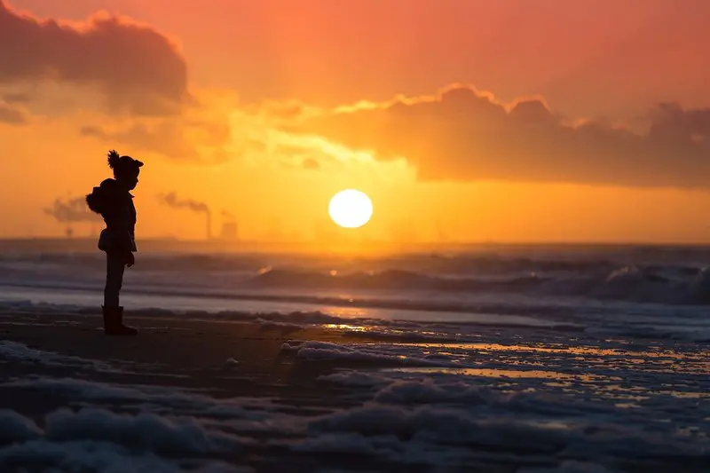 Trends and projections: greenhouse gas emissions largely on track to 2030 targets | Press releases