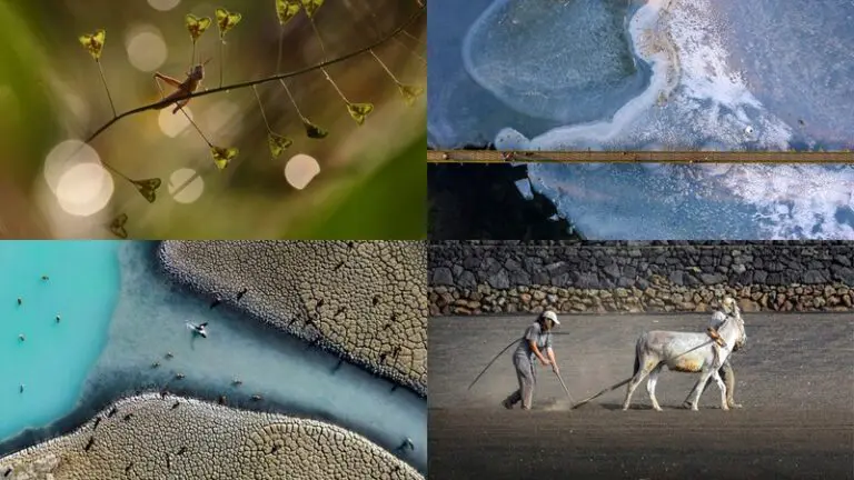 Public and jury chose the winning images of “Environment&Me 2025” photo competition | Press releases