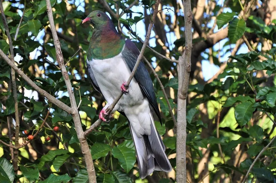 UN envoy highlights ‘window to advance peace’ in Colombia