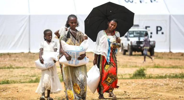 Ethiopia: Türk fears new crisis in Tigray amid renewed fighting