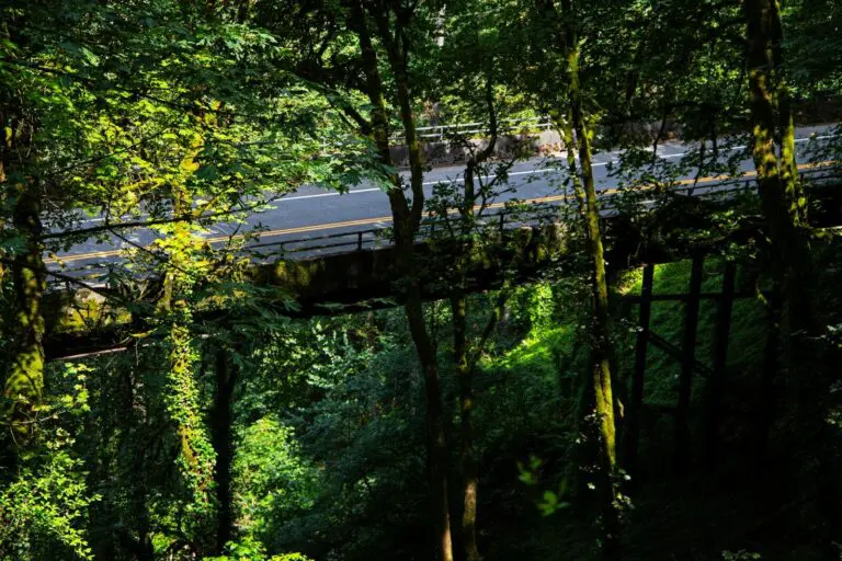 Social fairness key to success of the EU’s new ETS2 cap and trade system