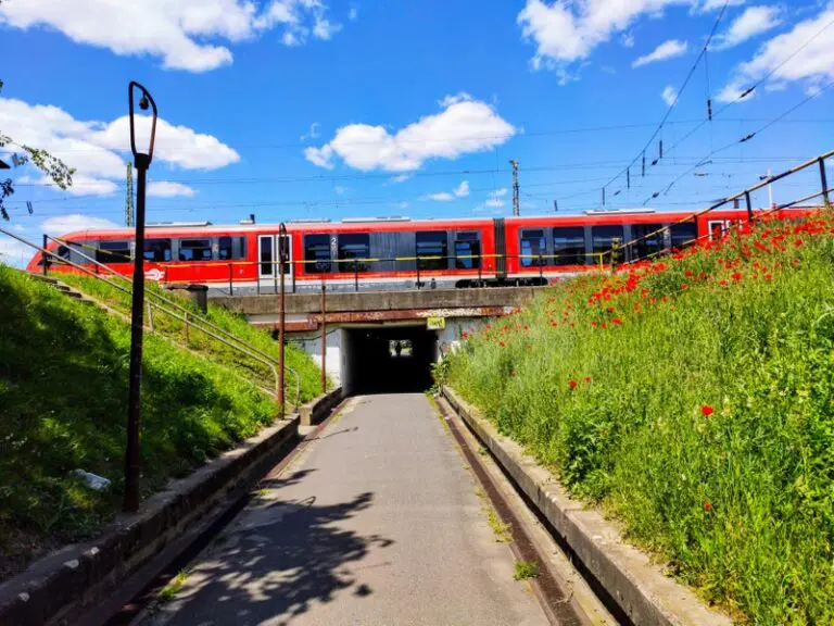 Rail offers a major opportunity for Europe to cut transport emissions, as road transport still dominates | Press releases