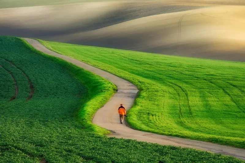 Exposure to pollution linked to depression, anxiety and other mental health issues | Press releases