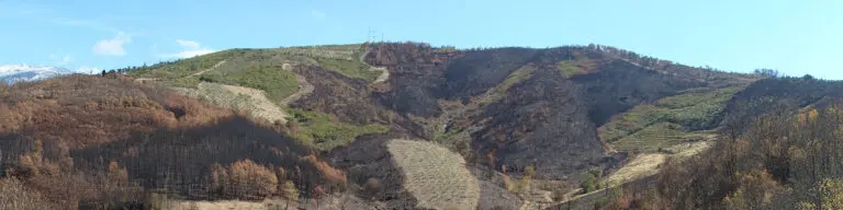 From floods to wildfires, new ideas are helping Europe adapt to climate extremes