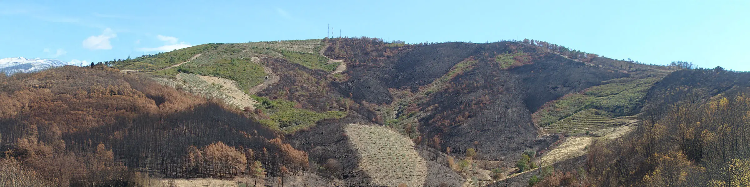 From floods to wildfires, new ideas are helping Europe adapt to climate extremes