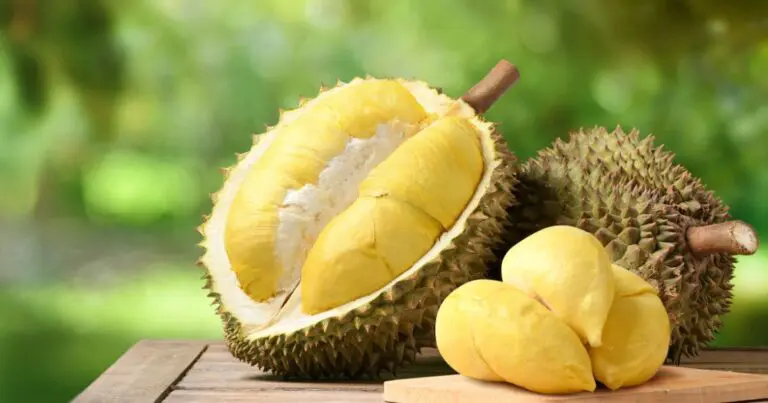 The product that brings billions of dollars in profit to Malaysia