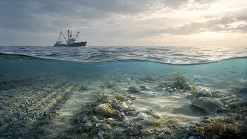 Dutch Court Tests Dogger Bank Protection