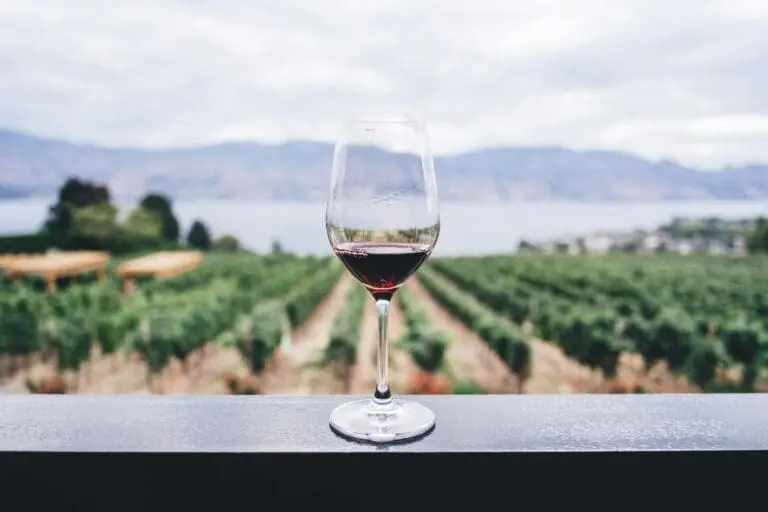 [Press Release] Switzerland’s President Advocates for Wine Import Restrictions Amidst Controversy