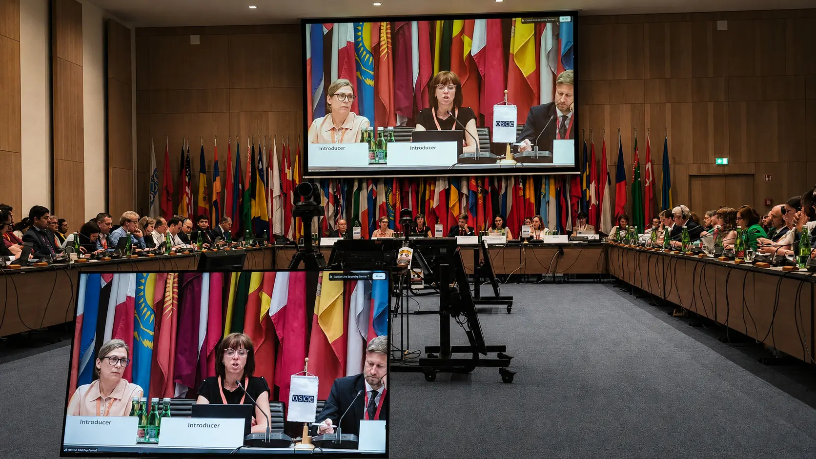 OSCE Meeting Warns Torture Prevention Is Failing