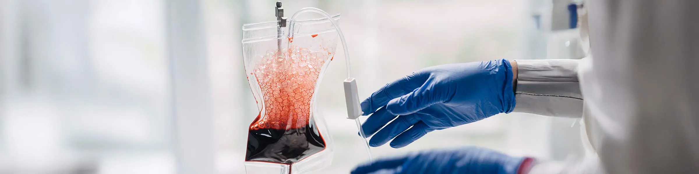Growing platelets on silk to keep blood supplies flowing