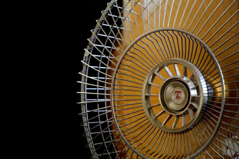 Europe remembers how to fight the heat with “folk remedies”