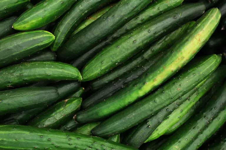The irregular shape of cucumbers is a signal of nutritional deficiency