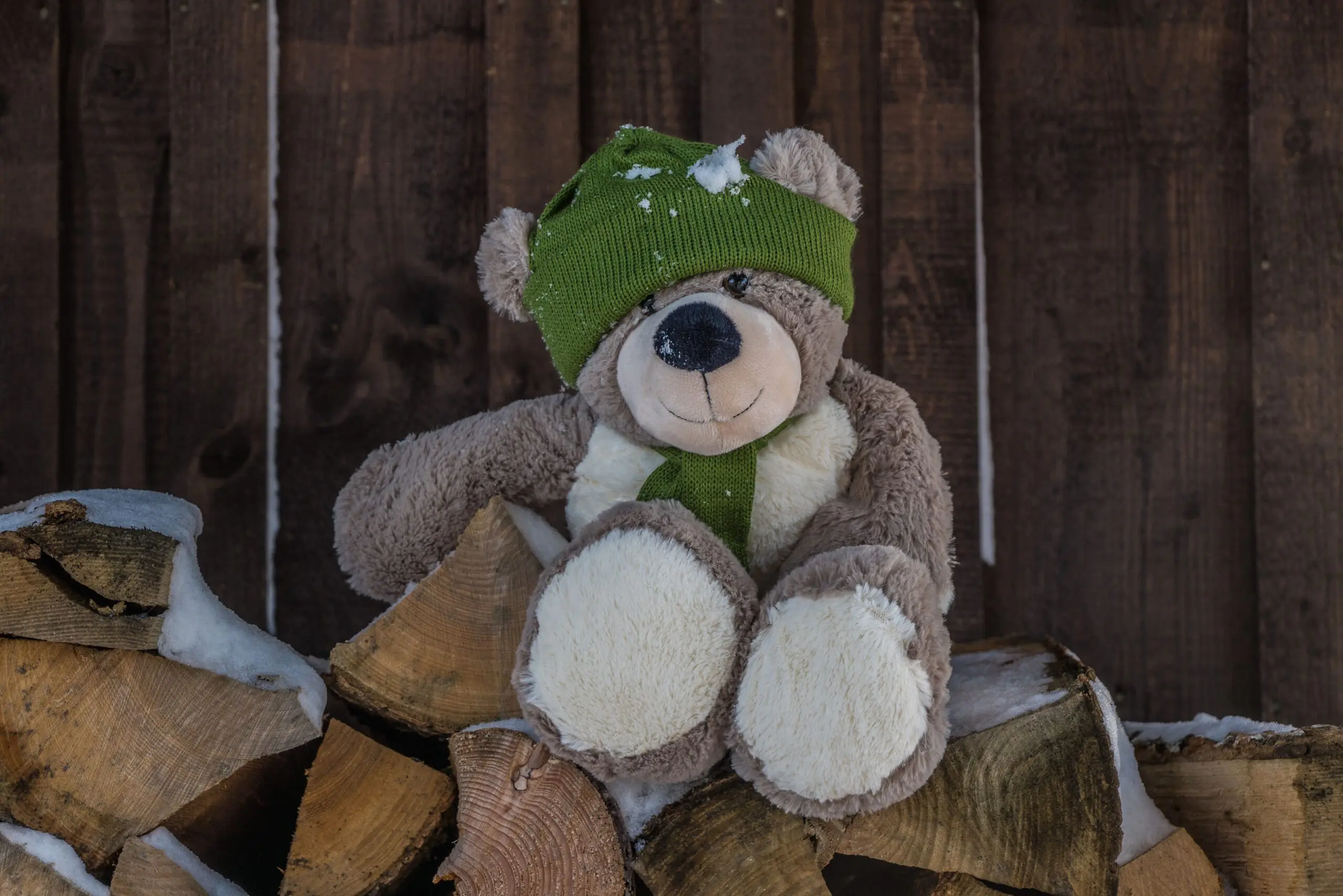 British MPs want a ban on “Masha and the Bear”, which propagated Soviet aesthetics