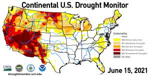 Les conditions de sécheresse dans l'ouest des États-Unis craignent désormais d'être les pires depuis près de 1,200 XNUMX ans.