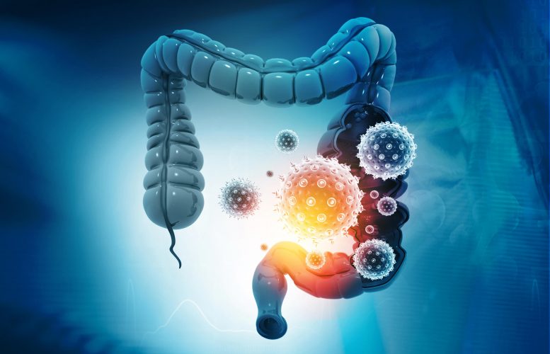Illustration du microbiome intestinal