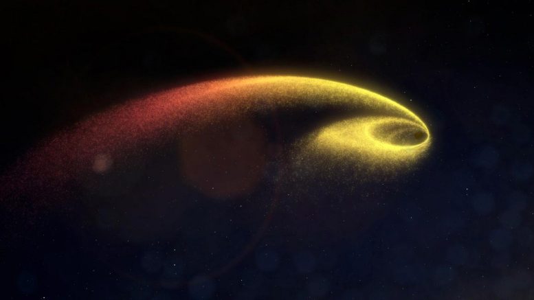 Black Hole Gravitational Forces Break Star Apart