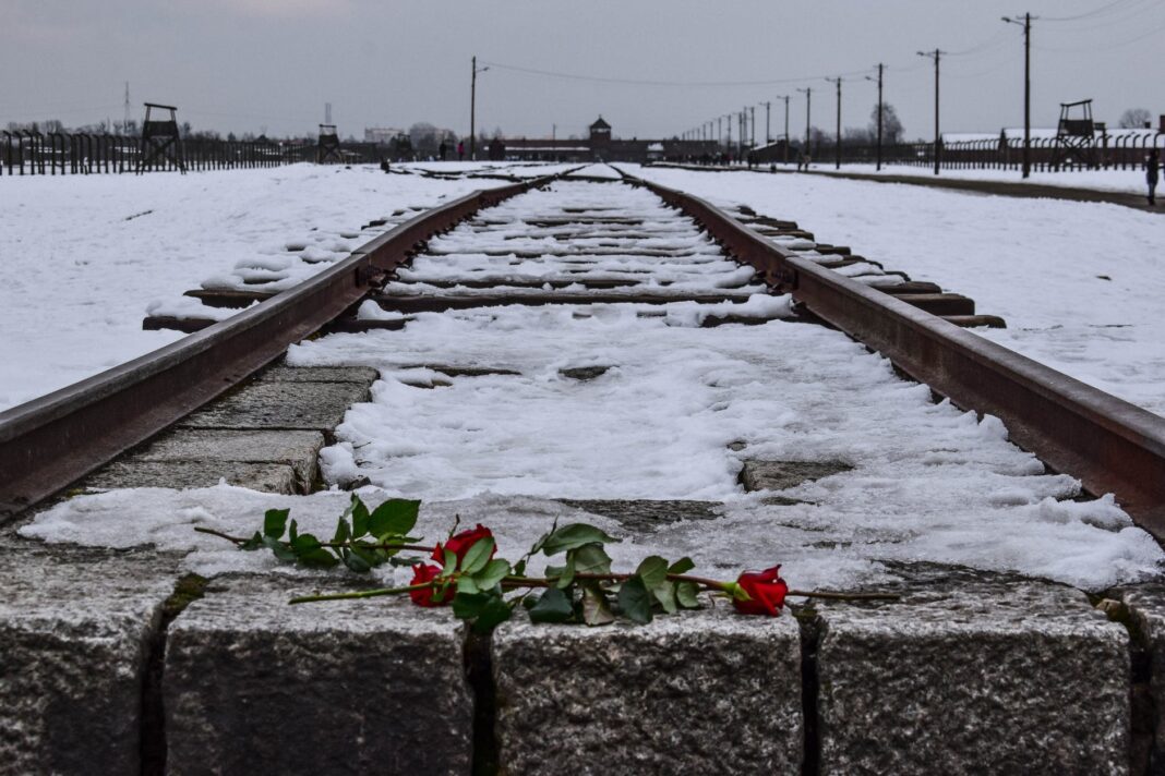 red roses on a railway covered with snow