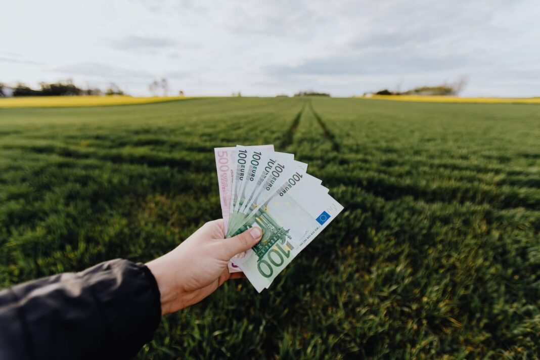 Фермер показывает деньги на зеленом летнем поле в сельской местности