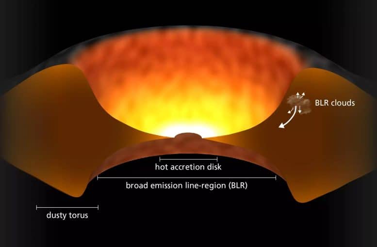 Quasar Schematic Representation