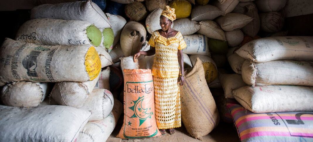 FAO/Sebastian Liste A female farmer stands in front of seed bags stored in a warehouse in a agri-business centre in Sierra Leone.