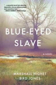 блакитноокий раб Нові рівні історичної фантастики Непохитний погляд на расу, релігію та відповідальність на колоніальному півдні