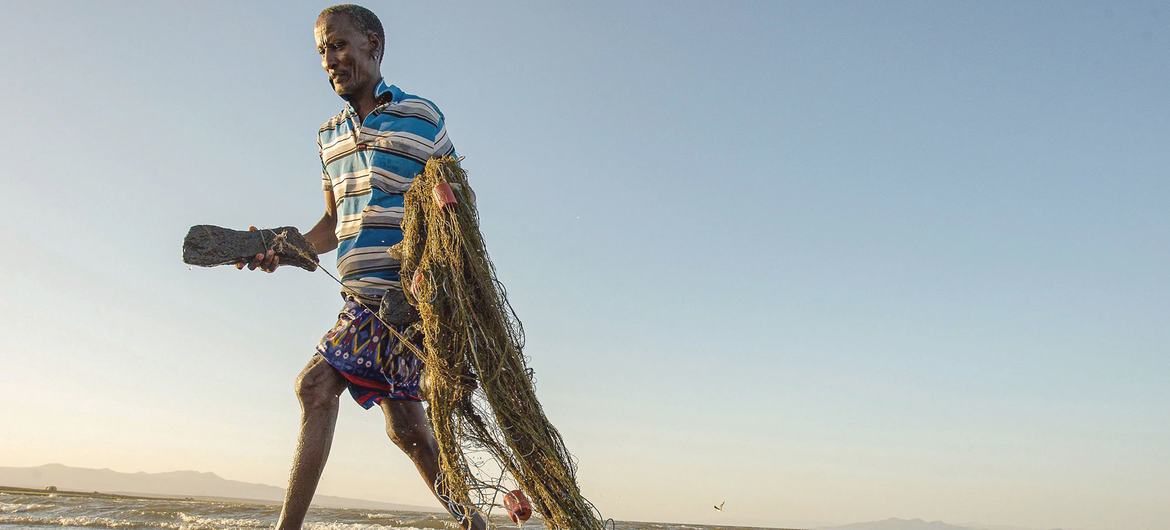 食料と生計を魚に依存しているケニアの地元の漁師。