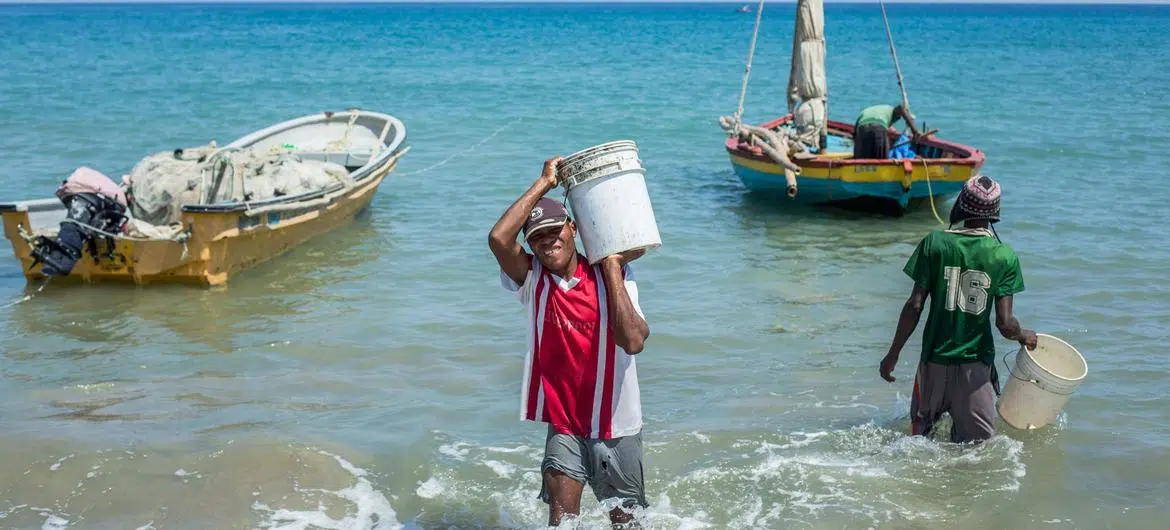 Стійке рибальство покращує життя на Гаїті.