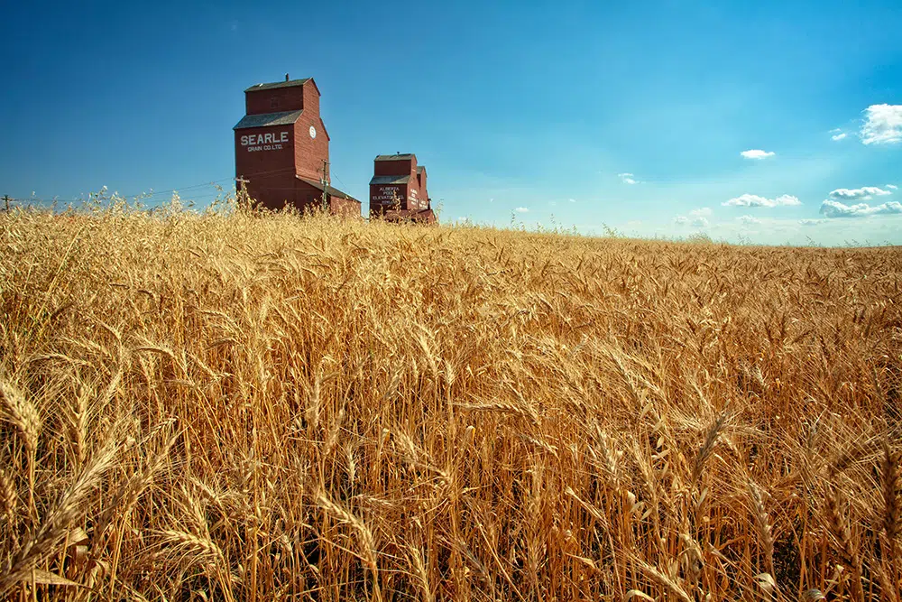 ウクライナの穀物の安全な貿易のためにトルコで会合