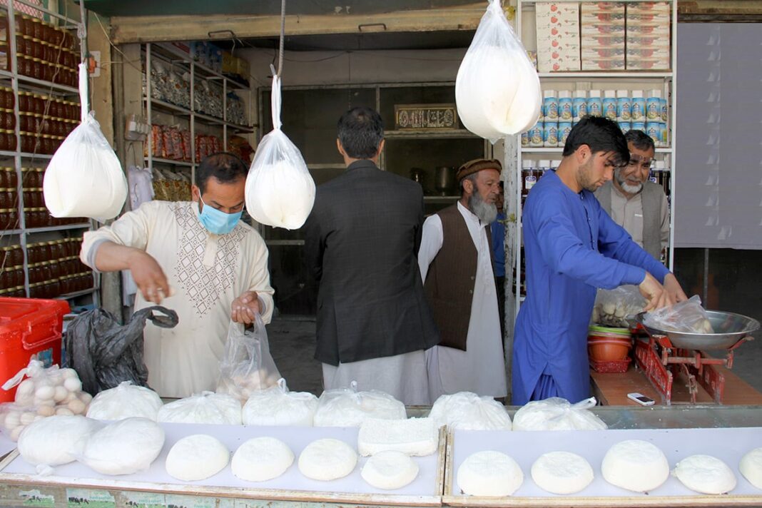 Rural Households in Afghanistan Remain Resilient