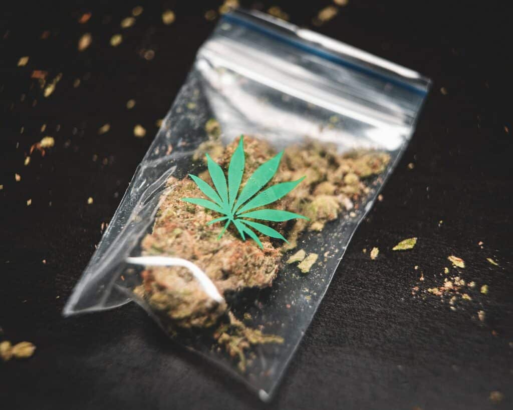 在透明塑料袋上研磨大麻