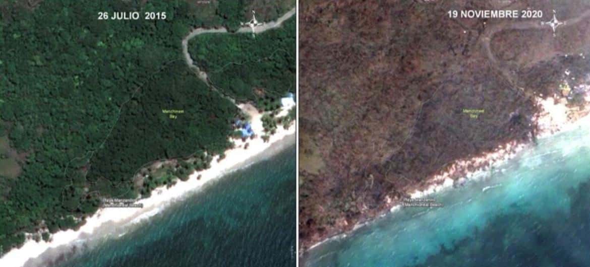 Satellite images show how mangroves and vegetation at Manchineel Bay in Providencia were affected after hurricane Iota.
