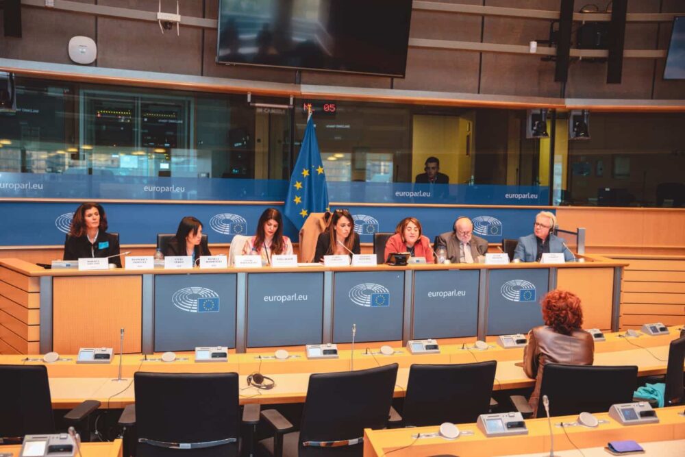 A conference entitled "The fight against Disinformation and propaganda " was organized on April 24th 2023 from 5 to 7p.m at the European Parliament by EPP group with the participation of human rights organizations and experts in the field