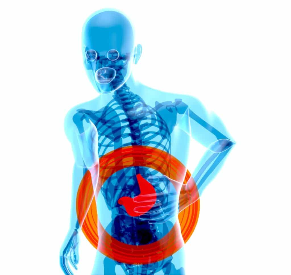 corpo - um esqueleto com um círculo vermelho ao redor do estômago