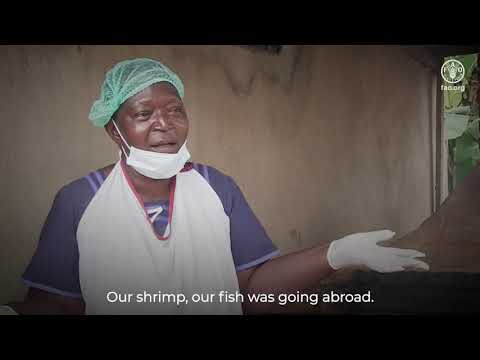Food Hero: Cameroon’s shrimp entrepreneur