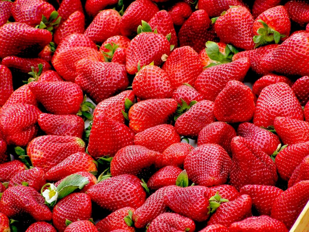 A strawberry and fruit war broke out between Spain and Germany