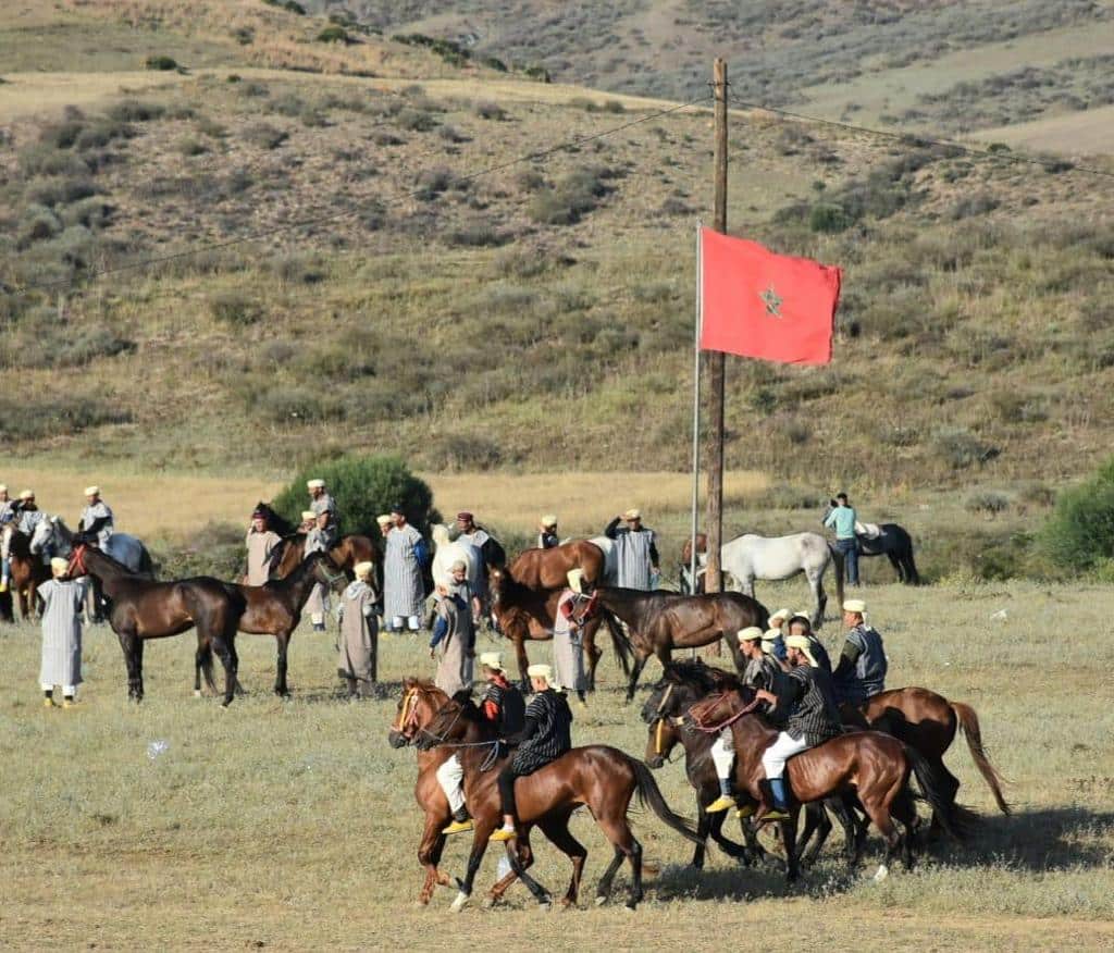 IMG 20230608 WA0016 摩洛哥阿拉米亚举办第11届MATA骑马节