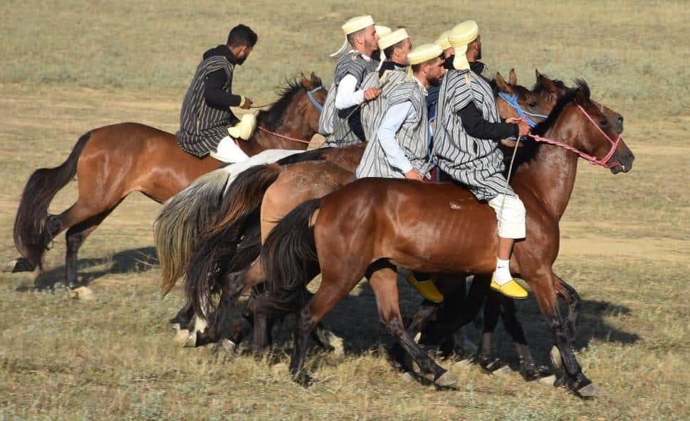 IMG 20230608 WA0018 摩洛哥阿拉米亚举办第11届MATA骑马节