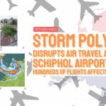 NL Storm Poly