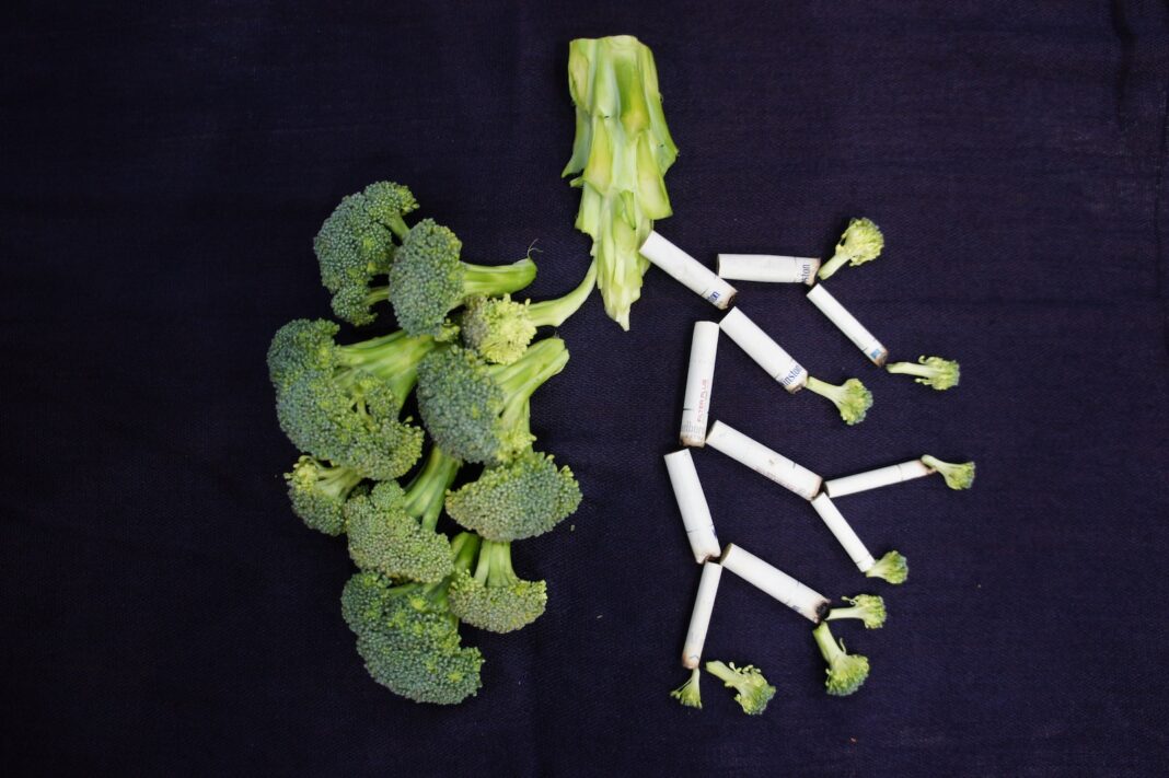 brócoli verde
