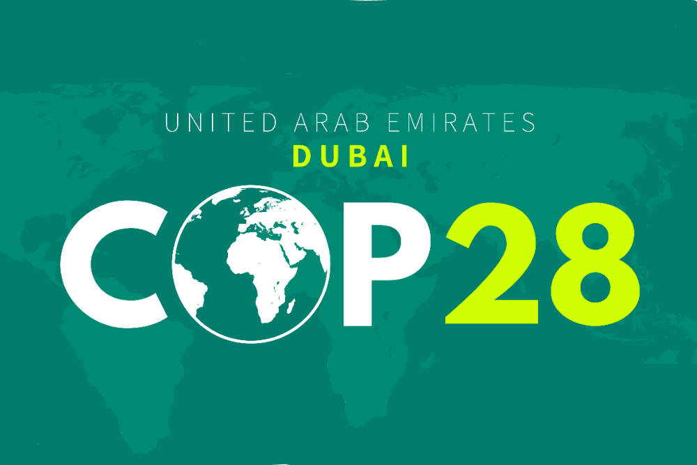 COP28: Eurodeputados querem acabar com todos os subsídios aos combustíveis fósseis a nível mundial até 2025 | Notícias